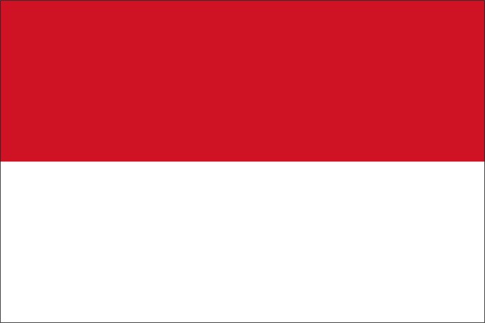 INDONESIA flag